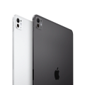 Apple iPad Pro 11 inch Wi-Fi + Cellular 256GB Standard Glass - Silver