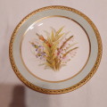Plates Early Royal Worcester botanical Hand Painted Circa1870's - pair