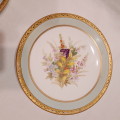 Plates Early Royal Worcester botanical Hand Painted Circa1870's - pair