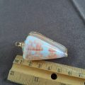 Shell pendant - South African shell with goldtone trim  lg  No 1
