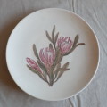 Drostdy Ware wall plate Handpainted signed France Marot   South African Pottery