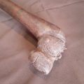 Carved hippo head walking stick - different african woods