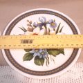 2 Royal Doulton Floral Plates British Airways - snowdrops and iris  17 cms