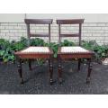 A Pair Of Cape Regency Stinkwood Chairs