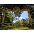 Ornately Carved Gilded Mirror