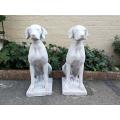 Pair of Concrete Dog (Style 1)