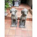 A Rare Pair of 20th Century Imported English Dog Statues With Excellent Patina