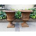 A Pair Of 20th Century French Cast Iron Planters / Urns