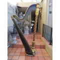 A 19th Century (Circa 1893) Erard Concert Gothic Harp No. 6487. It Is Playable And Fully Strung...