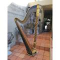 A 19th Century (Circa 1893) Erard Concert Gothic Harp No. 6487. It Is Playable And Fully Strung...