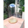 Extra Large Glass Cloche / Dome on Hand Gilded Wooden Base