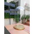 Extra Large Glass Cloche / Dome on Hand Gilded Wooden Base