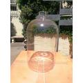 Glass Dome Height 32cm