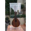 Vintage 8 String Mandolin Encased in Perspex Box
