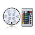 WorldCart Remote Controlled Waterproof LED Light