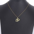 100% Genuine Titanium Double  Heart Necklace 45 cm **R 799** (GOLD)