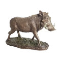 Warthog Standing