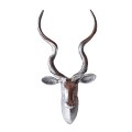 Kudu Head - Textured finish