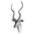Kudu Head - Textured finish