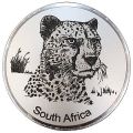 Engraved Cheetah (RM)