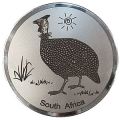 Engraved Guinea Fowl