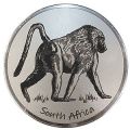 Engraved Baboon