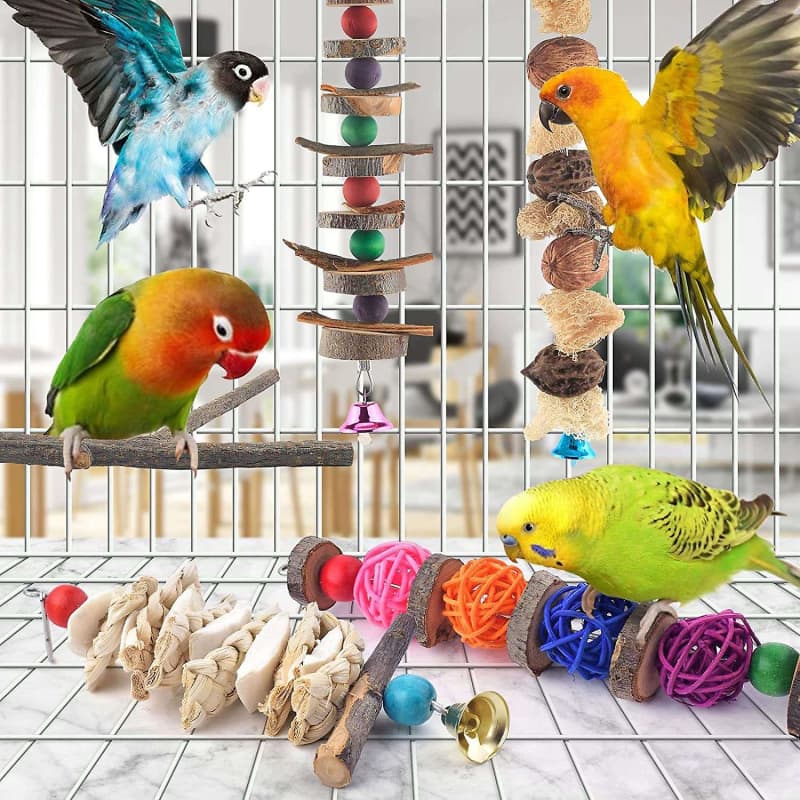 Bird Chew Toys, 5 Packs Parakeet Natural Wood Toys