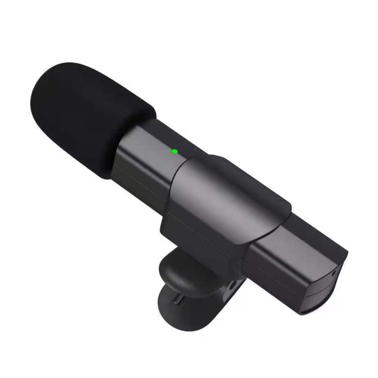 Type-C / USB-C Interface Mini Lavalier Microphone(Black)