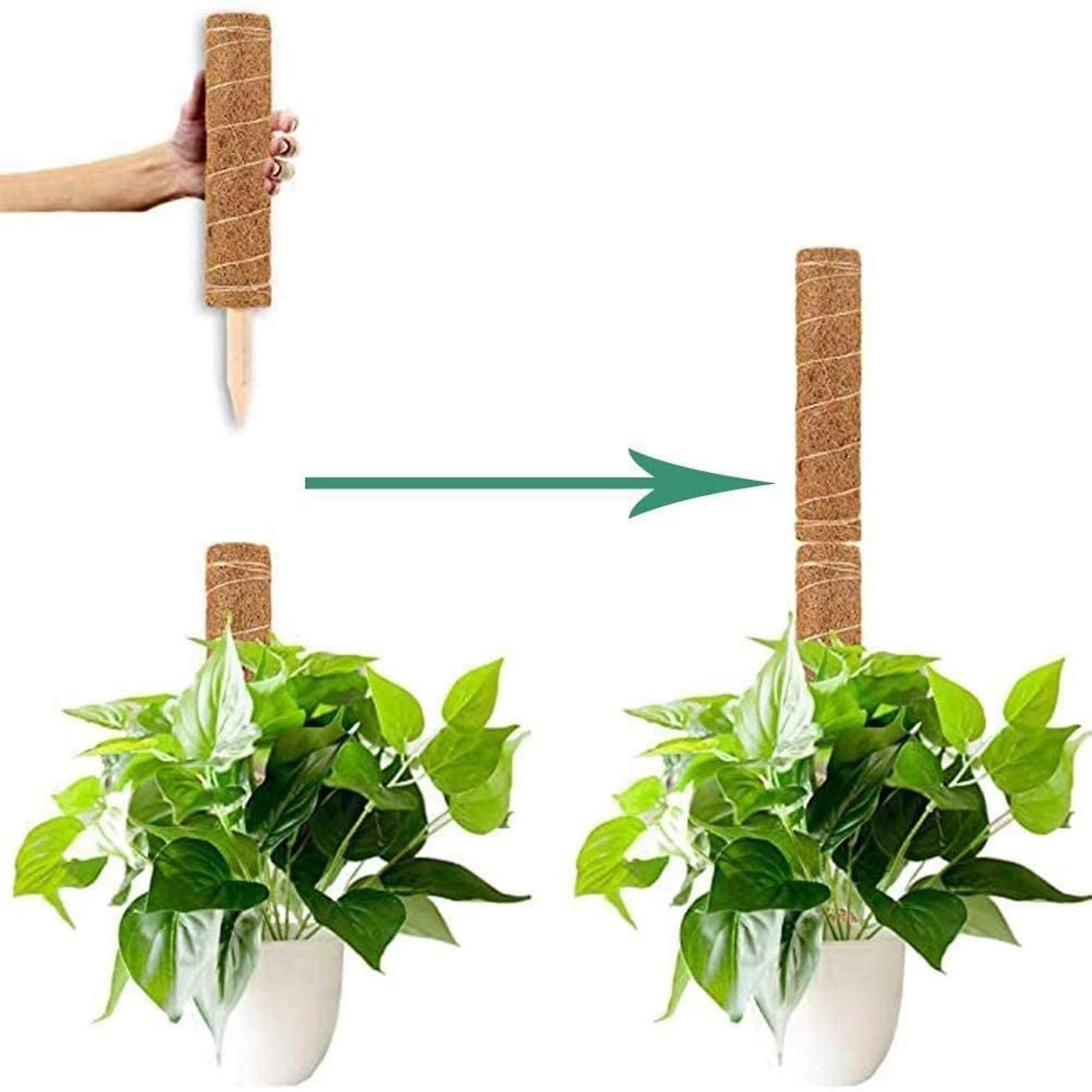 Moss Pole, 15.7 in/2 Pcs Coco Coir Plant Support Stakes for Indoor Potted  Plants Monstera, Philodendron, Pothos Plant Live and Climbing 