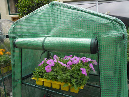 Greenhouses Cold Frames 4 Tier Mini Greenhouse Was Sold For R299 00 On 28 Feb At 17 17 By Elfi77 In Johannesburg Id 91754329