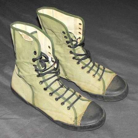 koevoet combat