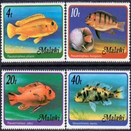 Malawi Malawi 1977 Vissen Visse Fishes Set 4 Mnh Posvars Postfris Fauna Fish Was Listed For R59 00 On 19 Sep At 20 01 By Kaaps Hollands In Mossel Bay Id 483213953