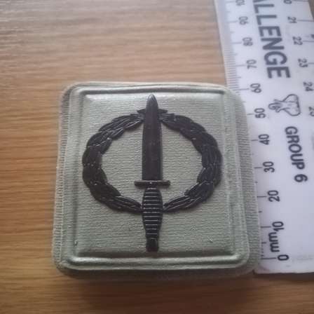 South African Army - SANDF Special Forces Operator Badge was sold for ...