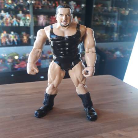 1999 jakks pacific wrestling figures