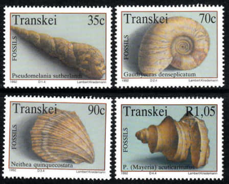 Transkei TRANSKEI SACC 297300 17.9.1992 MARINE