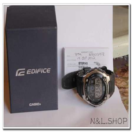 casio module 3199