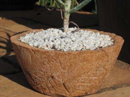 Pots & Planters - GARDEN POTS! LIGHTWEIGHT ATTRACTIVE! was sold for R20