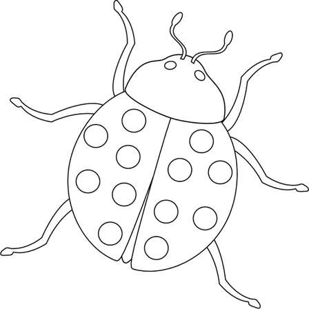 Activity & Colouring - Bug Coloring Book - Ebook was listed for R19.99