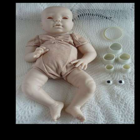 kit gracie reborn