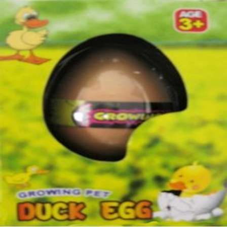 duck egg growing pet