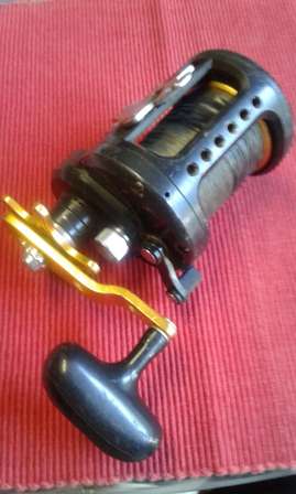 daiwa saltist bg 50h