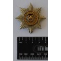Cheshire regiment badge as per photo