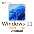Windows 11 Home to Professional