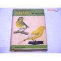 Canaries in Color: Lynch, George