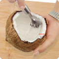 Coconut Grater, Fish Scaler Remover Multi-Purpose Stainless Steel Kitchen Tool