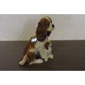CAVALIER KING CHARLES SPANIEL WITH PUPPY - BROWN AND WHITE - from SUEZYT