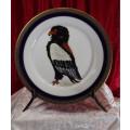STUNNING HAND PAINTED BATELEUR EAGLE ON A VINTAGE NORITAKE PLATE(3/3) - from SUEZYT