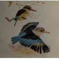 RONALD COOK BIRD PRINT - FRAMED  - from SUEZYT