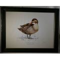 PENNY MEAKIN SIGNED L/E DUCK PRINT - from SUEZYT