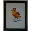 PENNY MEAKIN  FULVOUS DUCK SIGNED L/E PRINT - from SUEZYT